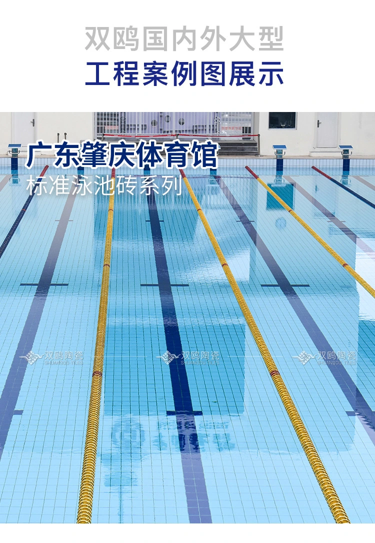 Antislip Swimming Pool 244X119mm Ceramic Full Body Tiles Exterior Tiles Pool Border